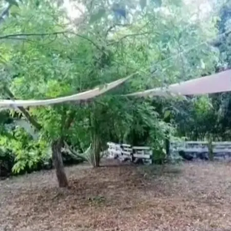 La Casetta Nel Bosco Delle Nereidi *